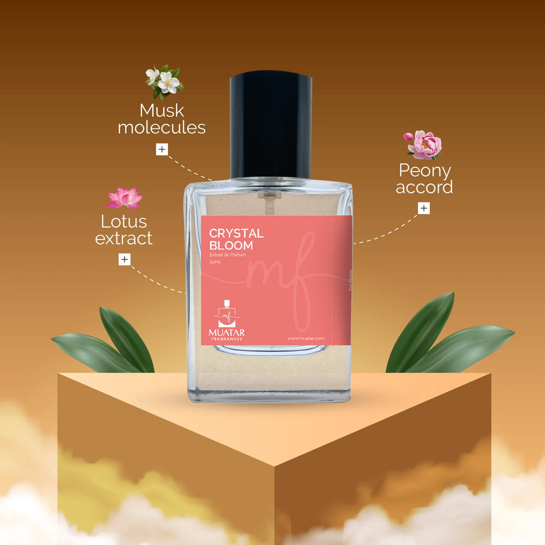 Crystal Bloom